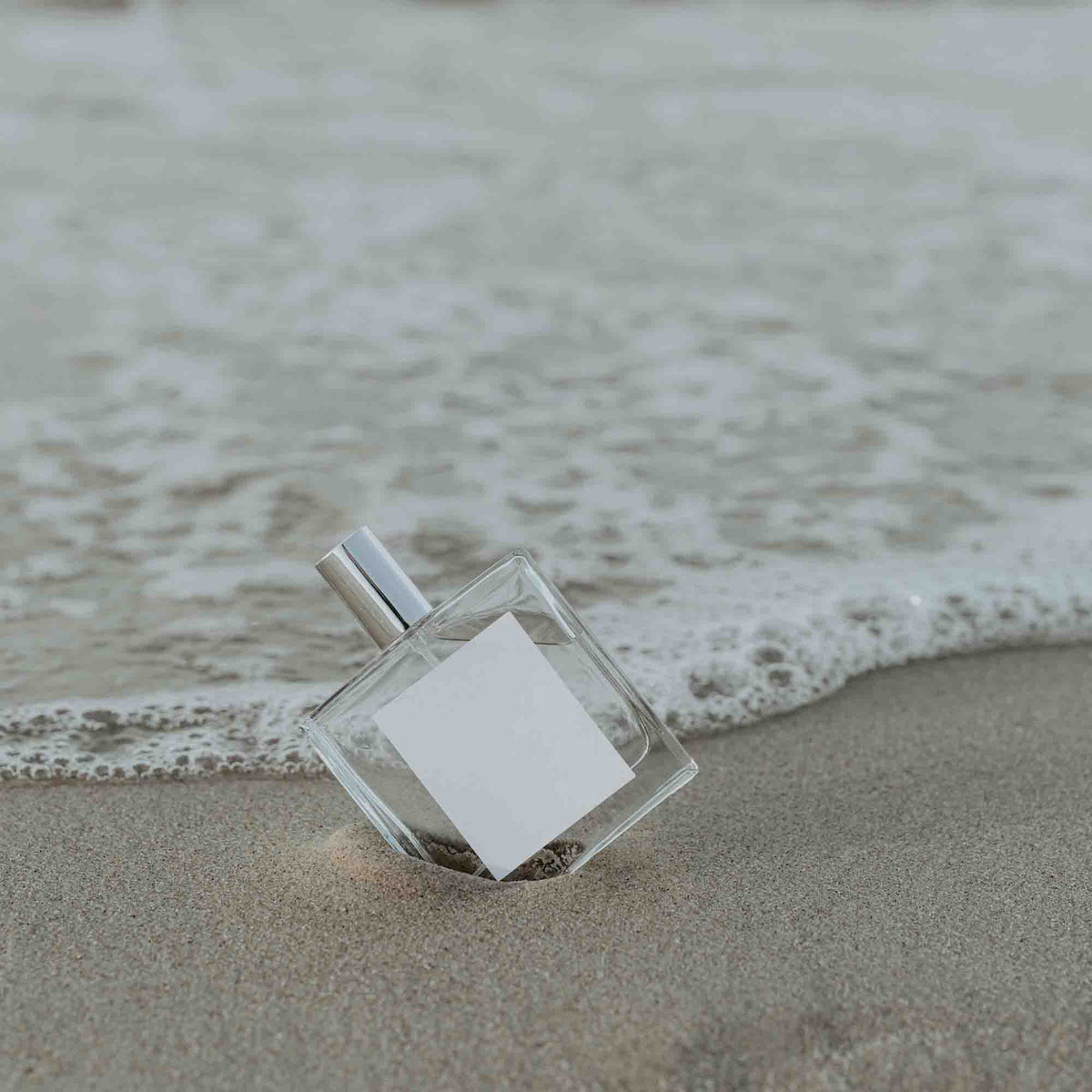 Nischendüfte vs. Designer-Parfums: Was lohnt sich wirklich?