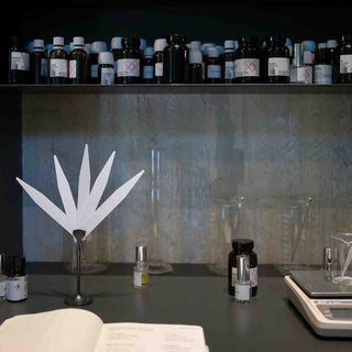 Chemielabor mit Glasflaschen und weißer Papierstruktur auf dunkler Arbeitsfläche, wissenschaftliche Laborausstattung und Reagenzien auf dem oberen Regal