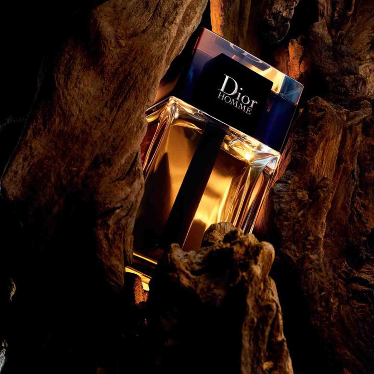 Das Signature-Parfum des Gentlemans: Warum Dior zeitlos ist
