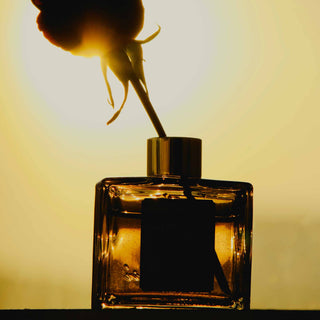 Die Wissenschaft des Duftes: Wie Parfums unsere Stimmung beeinflussen