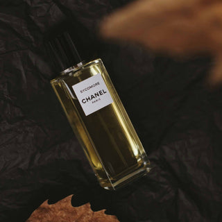 Frische Düfte für den Sommer: Die besten leichten und aquatischen Parfums