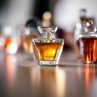 Hautpflege & Parfum: Wie Cremes und Düfte miteinander harmonieren