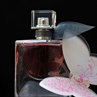 Kirsch-Kick: Die aufregendsten Cherry-Scents, die im Juli durchstarten