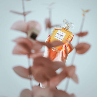 Parfums inspiriert von Orten – Wie Düfte Reisen widerspiegeln können