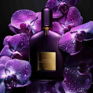 Tom Ford: Kraftvolle Düfte für starke Persönlichkeiten