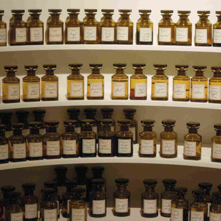 Warum jeder Mensch anders riecht: Die Wissenschaft hinter Körperchemie und Parfum