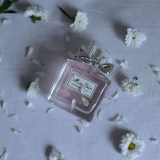 Warum viele ihr Parfum im Kühlschrank aufbewahren – sinnvoll oder Mythos?