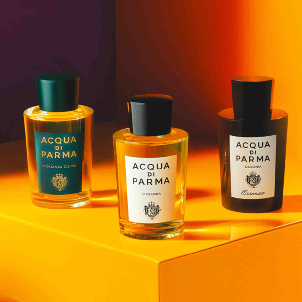 Zitrus, Hölzer und Tradition: Warum Acqua di Parma klassische Männlichkeit verkörpert