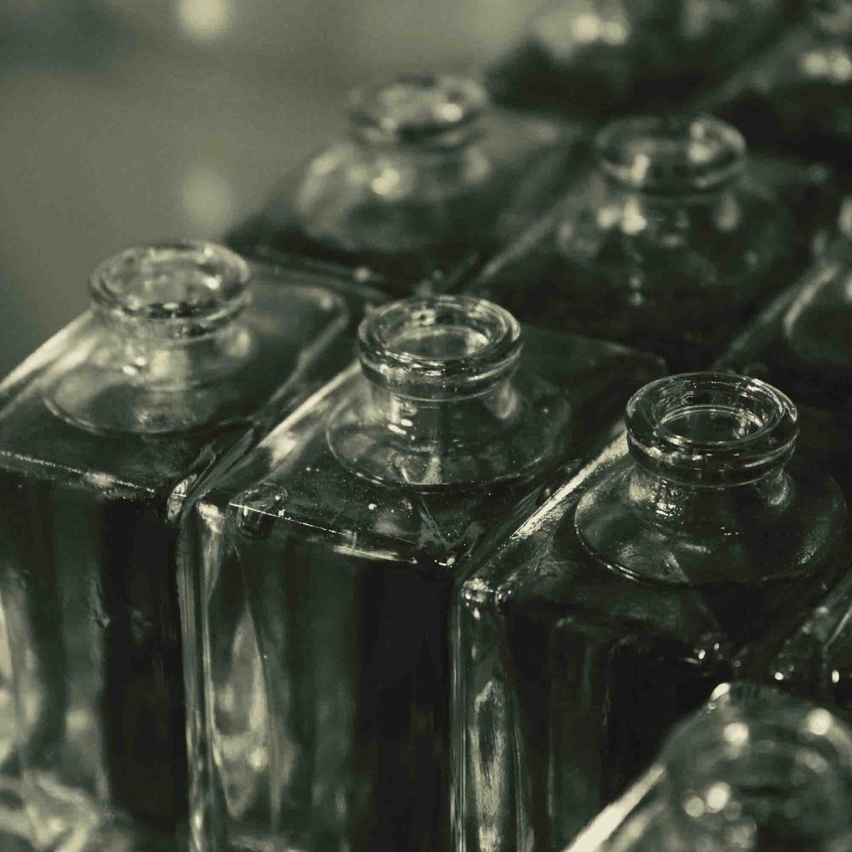 Parfum das lange hält