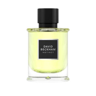 David Beckham Instinct Eau de Parfum 50ml und Deodorant 150ml Geschenkbox für Herren-Perfume & Cologne-David Beckham-50ml + Deodorant 150ml-MyScent