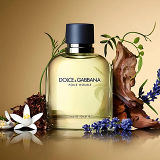 Dolce & Gabbana Pour Homme Eau de Toilette-Perfume & Cologne-Dolce & Gabbana-75 ml-MyScent