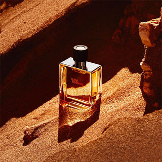 Hermès Terre d'Hermès Eau de Parfum-Perfume & Cologne-Hermès-MyScent