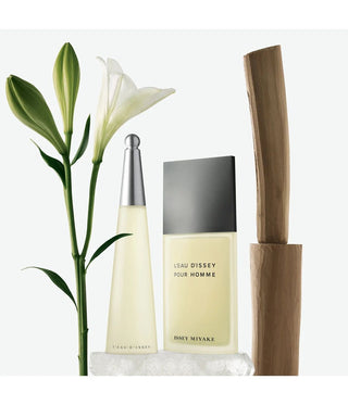 Issey Miyake L'eau d'Issey Eau de Toilette-Perfume & Cologne-Issey Miyake-100 ml-MyScent