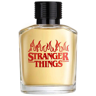 Netflix Stranger Things Geschenkset Eau de Toilette 100 ml Duschgel 150 ml Kosmetiktasche Mächtiger männlicher Duft inspiriert von Netflix-Serie-Perfume & Cologne-Air Val-EDT 100 ml + GEL 150 ml-MyScent