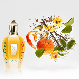 Xerjoff Discovery Set Naxos, Erba Pura, Decas